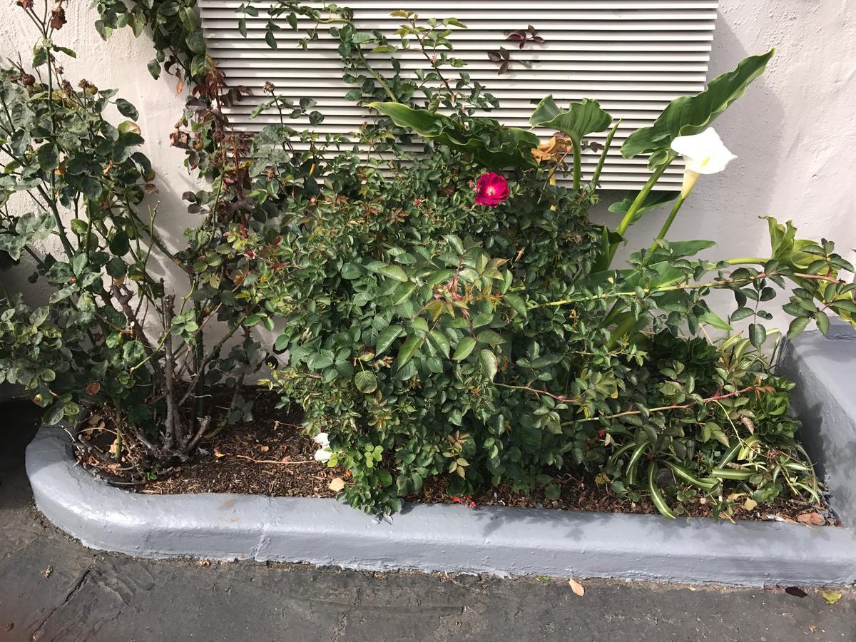 Geneva Motel Daly City Bagian luar foto